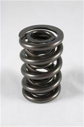 PAC Racing 1200 Series Circle Track Valve Springs