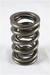 Valve Springs - 1.900 in. Installed Height (in.) - Free Shipping