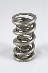 PAC Racing Springs Valve Springs PAC-1331-16
