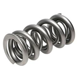 PAC Racing Springs Valve Springs PAC-1361H-16