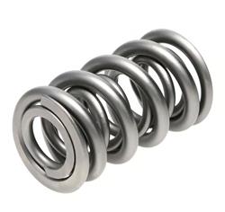PAC Racing Springs Valve Springs PAC-1372-16