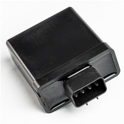 Rick's Motorsport Electrics Computer Chips and Modules 15-428