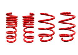Roush Mustang Lowering Springs for 2015-2025 MUSTANG - 422339