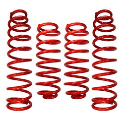 RSO Suspension Coil Springs 170107-404500