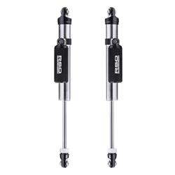 RSO Suspension Shocks and Struts 170118-466701