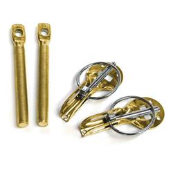 Racetech USA Hood Pins BPLBGOLD