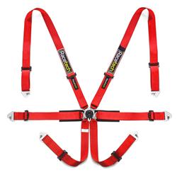 Racetech USA Pro International 6-Point Harnesses RTPRINT-3