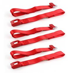 SafeTBoy 2-Point Push Button Buckle Lap Belts STBCD5A2