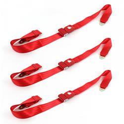 SafeTBoy 2-Point Push Button Buckle Lap Belts for 1957-1958 ROADMASTER - STBCD623