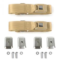SafeTBoy 2-Point Push Button Buckle Lap Belts STBD12E5