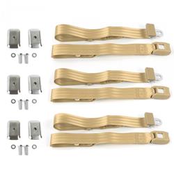 SafeTBoy 2-Point Push Button Buckle Lap Belts STBD1549