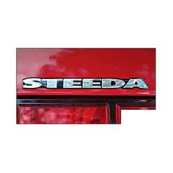 Steeda Badges 291-0004