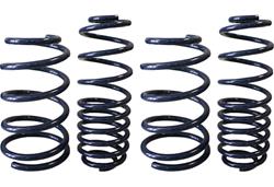 Steeda Ford Mustang Ultralite Suspension Springs 555-8206