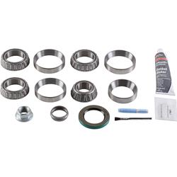 Dana Spicer Drivetrain Products Differential Carrier Bearings 10038939