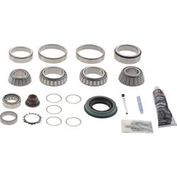 Dana Spicer Drivetrain Products Differential Carrier Bearings 10046201