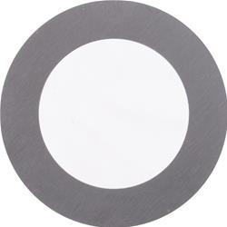 Dana Spicer Drivetrain Products Differential Shims 30207-3