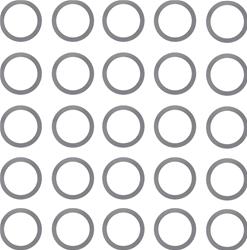 Dana Spicer Drivetrain Products Differential Shims 30215-1