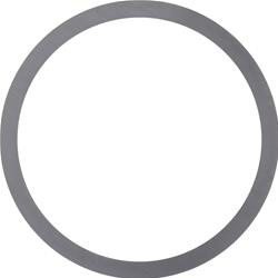 Dana Spicer Drivetrain Products Differential Shims 30291-2