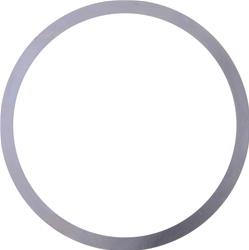 Dana Spicer Drivetrain Products Differential Shims 30797-1