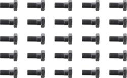 Spicer Drivetrain Products Ring Gear Bolts 40638