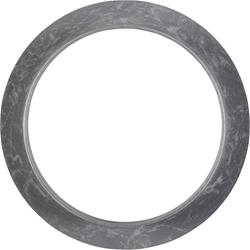 Spicer Drivetrain Products Axle Shaft Oil Slingers 46988