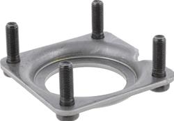 Dana Spicer Drivetrain Products Axle Retainer Plates 76466X