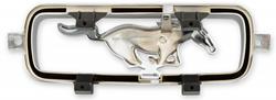 Scott Drake Emblems C6ZZ-8213-B