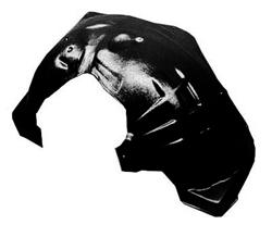 Sherman Inner Fenders for 2008-2012 LIBERTY - SHE031-24L