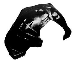 Sherman Inner Fenders for 2008-2012 LIBERTY - SHE031-24R