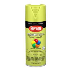 Krylon COLORmaxx Paint 12 Oz. Gloss Green 5512