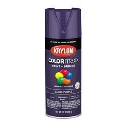 Krylon COLORmaxx Paint 12 Oz. Gloss Purple 5533