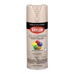 Krylon COLORmaxx Paint 12 Oz. Satin Gray/Silver 5572