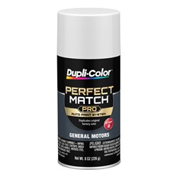 Dupli-Color Perfect Match Paint BGM0387