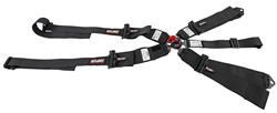 Simpson HANS Compatible Camlock  5-Point Harness 29110BKHL1X