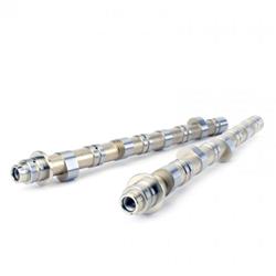 Skunk 2 Camshafts 305-05-7500