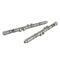Skunk 2 Camshafts 305-05-8000