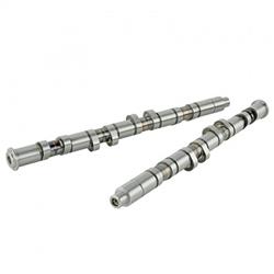 Skunk 2 Camshafts 305-05-8100