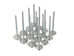 Skunk2 Racing Alpha Series Valves 310-05-1310