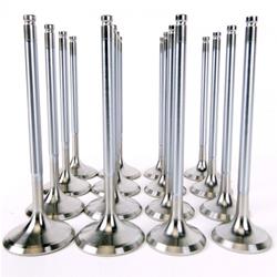 Skunk2 Racing Alpha Series Valves 310-05-1535