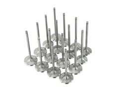 Skunk2 Racing Alpha Series Valves 310-05-1555