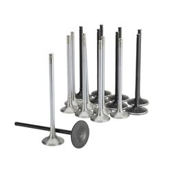 Skunk 2 Valves 310-05-2000