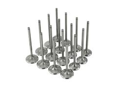 Skunk2 Racing Ultra Series Valves 310-05-9310