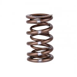 Skunk2 Racing Pro XP Valve Springs for 1999-2000 CIVIC, 1996-1997 CIVIC DEL SOL, 1990-2001 INTEGRA - 311-05-7350