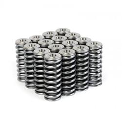 Skunk2 Racing Alpha Valve Springs/Retainer Kits for 1992-2000 CIVIC, 1993-1997 CIVIC DEL SOL - 344-05-1350