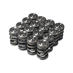 Skunk2 Racing Alpha Valve Springs/Retainer Kits 344-05-1360
