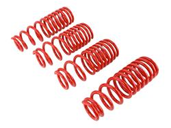 Skunk2 Racing Lowering Springs