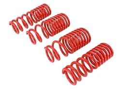 Skunk2 Racing Lowering Springs for 1988-1991 CIVIC, CRX - 519-05-1650