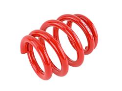 Skunk2 Racing Coilover Springs for 2006-2011 CIVIC - 521-99-1160