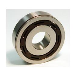 SKF Bearings Universal Bearings 6305-NSP19