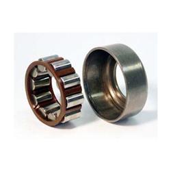 SKF Bearings Ball Bearings MA1205-TV